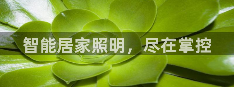 太原云顶国际酒店坐几路公交车：智能居家照