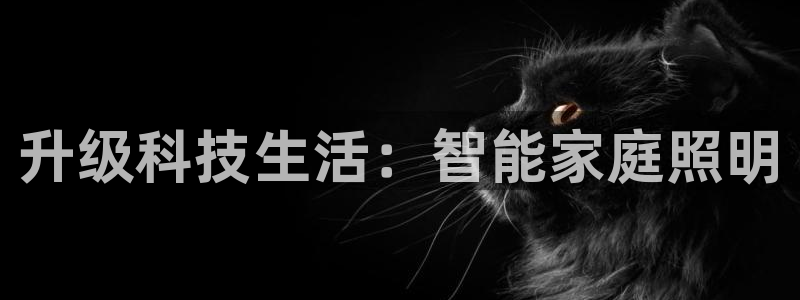 云顶国际集团：升级科技生活：智能家庭照明