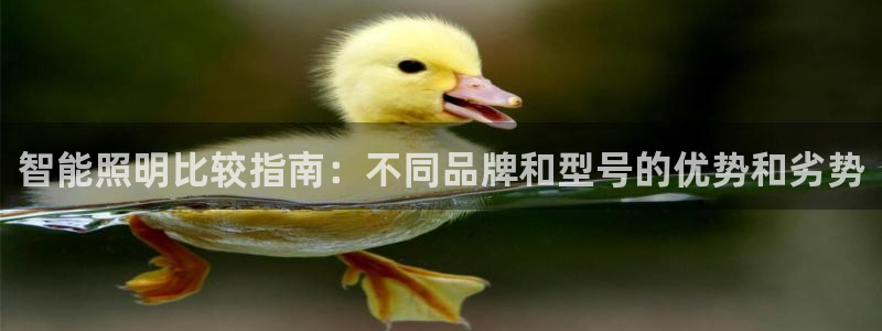 云顶vn