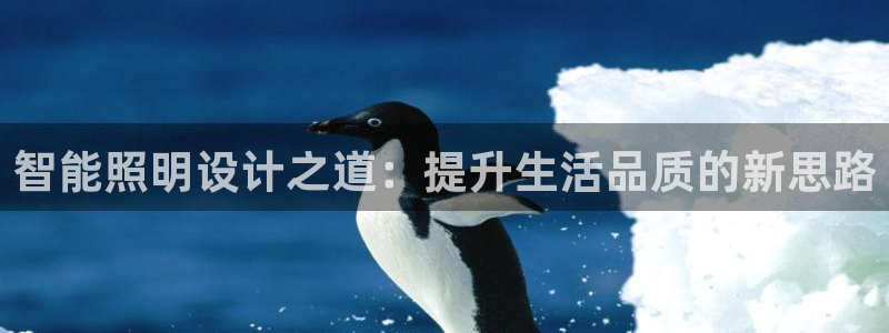 云顶国际平台游戏