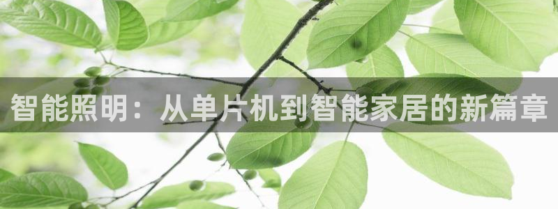 云顶集团网投领头