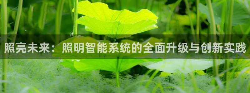 云顶国际俱乐部电话：照亮未来：照明智能系